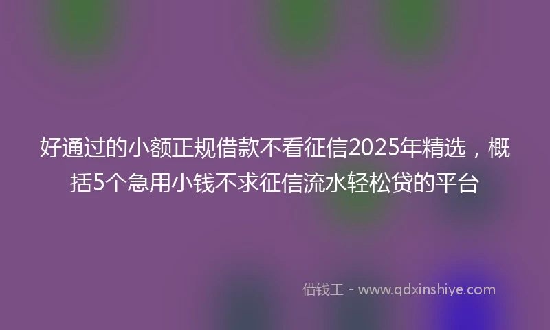 好通过的小额正规借款不看征信2025年精选，概括5个急用小钱不求征信流水轻松贷的平台