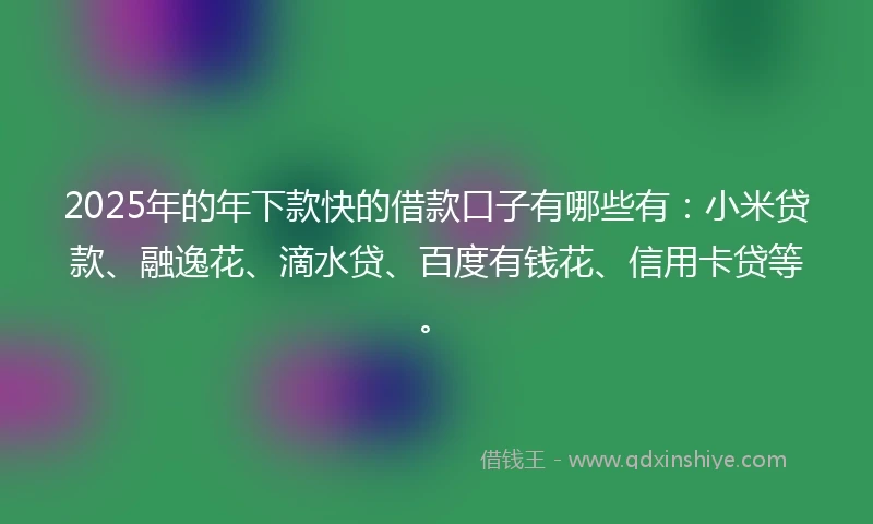 2025年的年下款快的借款口子有哪些有：小米贷款、融逸花、滴水贷、百度有钱花、信用卡贷等。