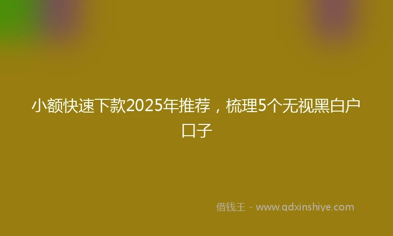 小额快速下款2025年推荐，梳理5个无视黑白户口子