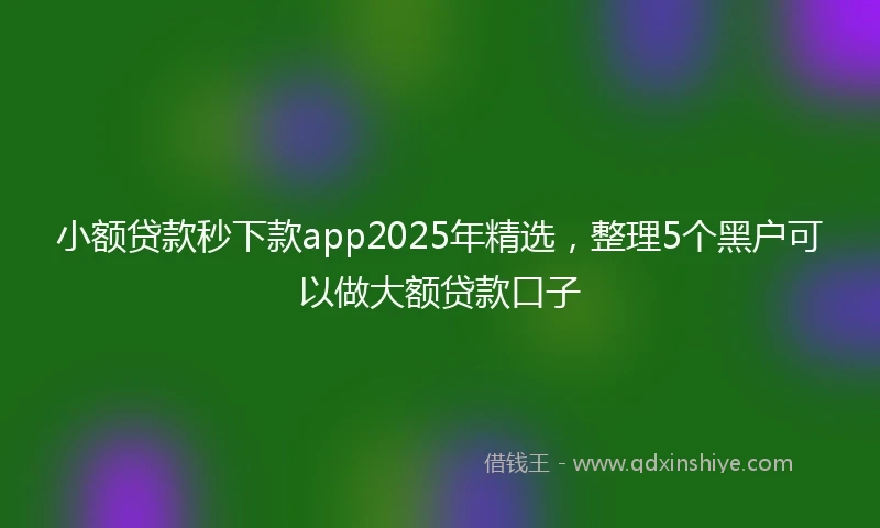 小额贷款秒下款app2025年精选，整理5个黑户可以做大额贷款口子