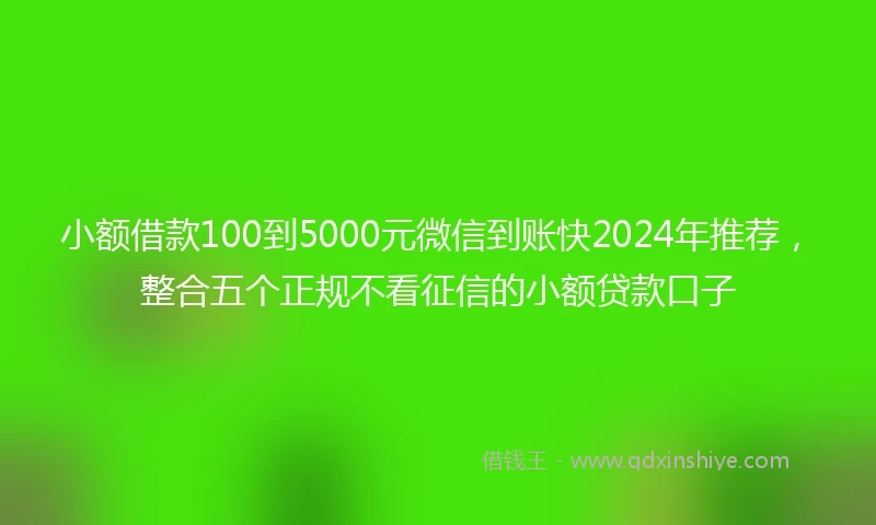 小额借款100到5000元微信到账快2024年推荐，整合五个正规不看征信的小额贷款口子
