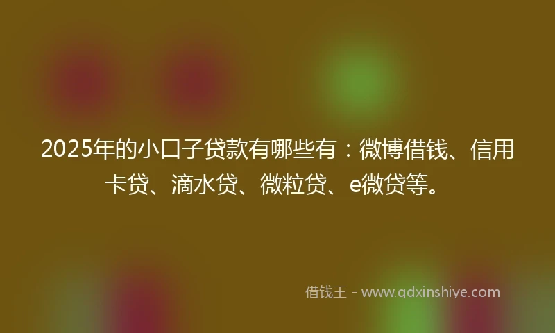 2025年的小口子贷款有哪些有：微博借钱、信用卡贷、滴水贷、微粒贷、e微贷等。