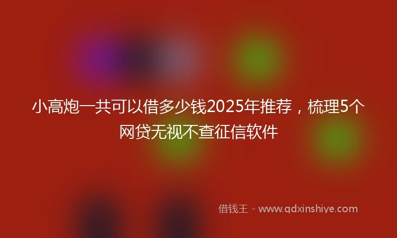 小高炮一共可以借多少钱2025年推荐,梳理5个网贷无视不查征信软件