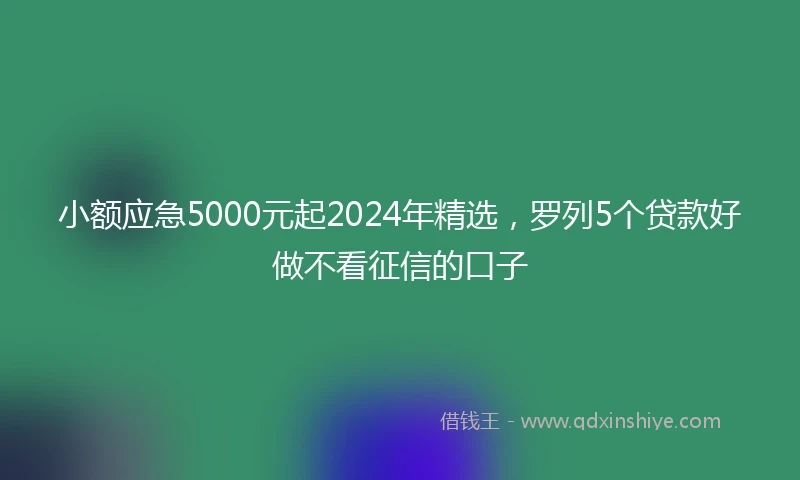 小额应急5000元起2024年精选，罗列5个贷款好做不看征信的口子