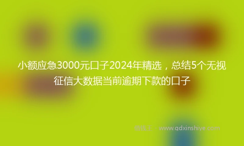 小额应急3000元口子2024年精选，总结5个无视征信大数据当前逾期下款的口子
