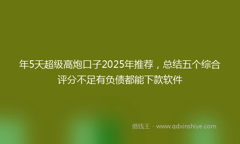 年5天超级高炮口子2025年推荐，总结五个综合评分不足有负债都能下款软件