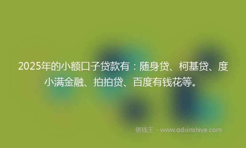 2025年的小额口子贷款有：随身贷、柯基贷、度小满金融、拍拍贷、百度有钱花等。