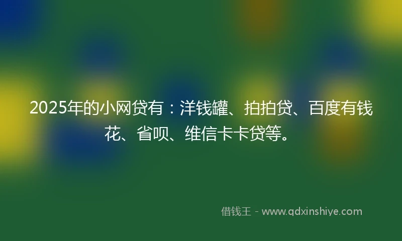 2025年的小网贷有:洋钱罐、拍拍贷、百度有钱花、省呗、维信卡卡贷等。