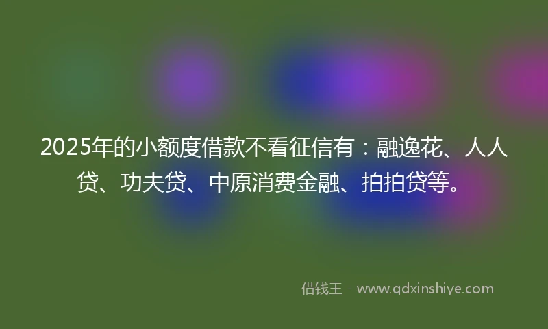 2025年的小额度借款不看征信有：融逸花、人人贷、功夫贷、中原消费金融、拍拍贷等。