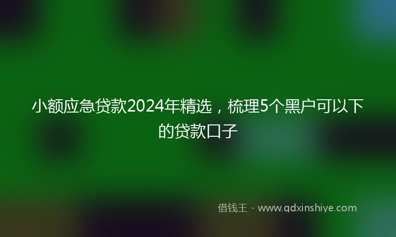 小额应急贷款2024年精选，梳理5个黑户可以下的贷款口子