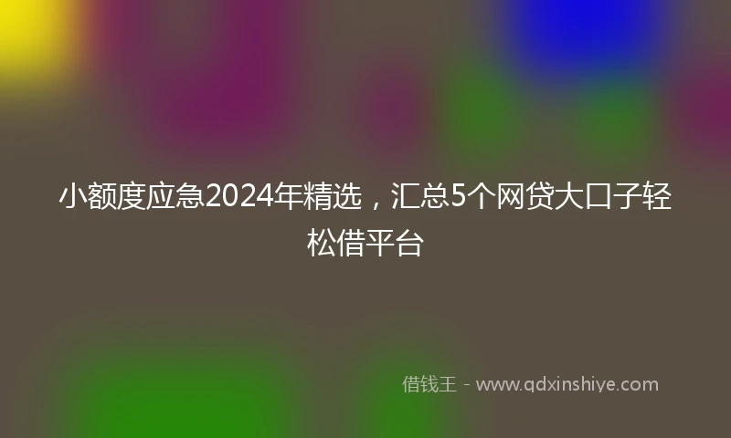 小额度应急2024年精选，汇总5个网贷大口子轻松借平台