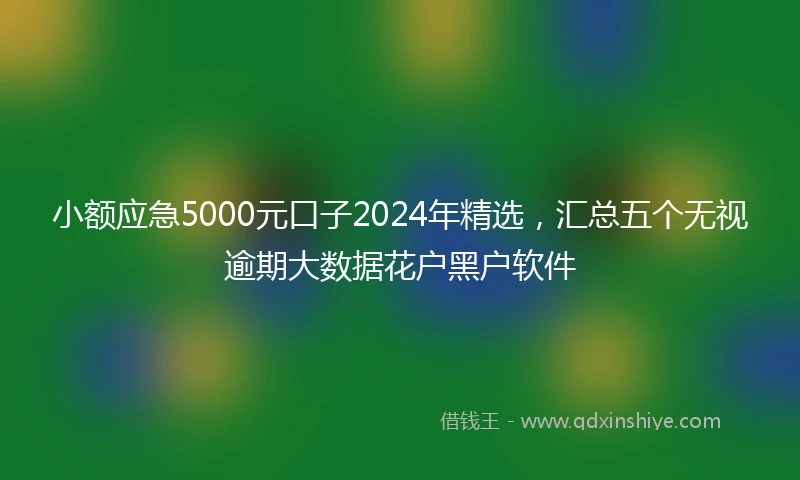 小额应急5000元口子2024年精选，汇总五个无视逾期大数据花户黑户软件