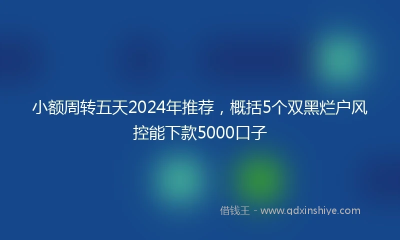 小额周转五天2024年推荐，概括5个双黑烂户风控能下款5000口子