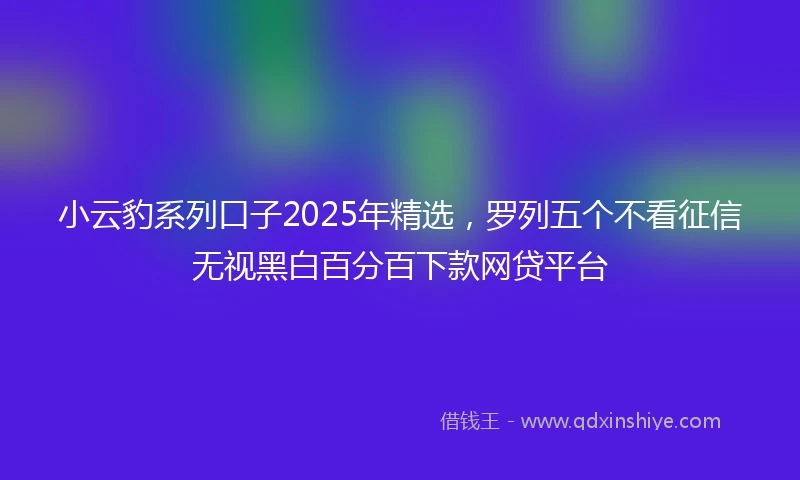 小云豹系列口子2025年精选，罗列五个不看征信无视黑白百分百下款网贷平台