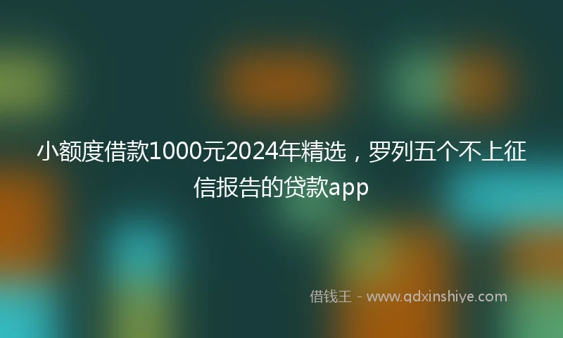 小额度借款1000元2024年精选，罗列五个不上征信报告的贷款app