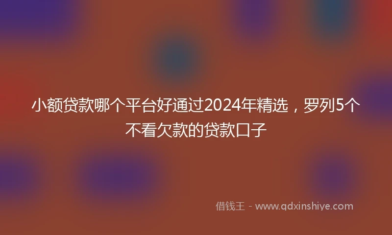 小额贷款哪个平台好通过2024年精选，罗列5个不看欠款的贷款口子