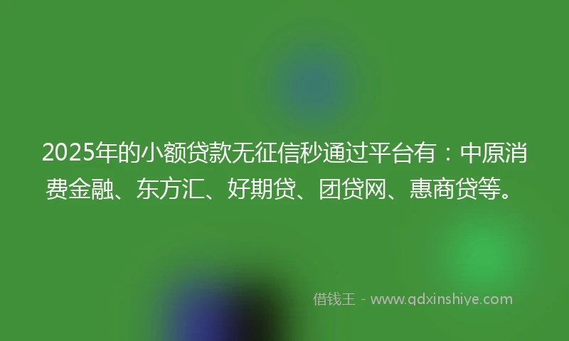 2025年的小额贷款无征信秒通过平台有：中原消费金融、东方汇、好期贷、团贷网、惠商贷等。