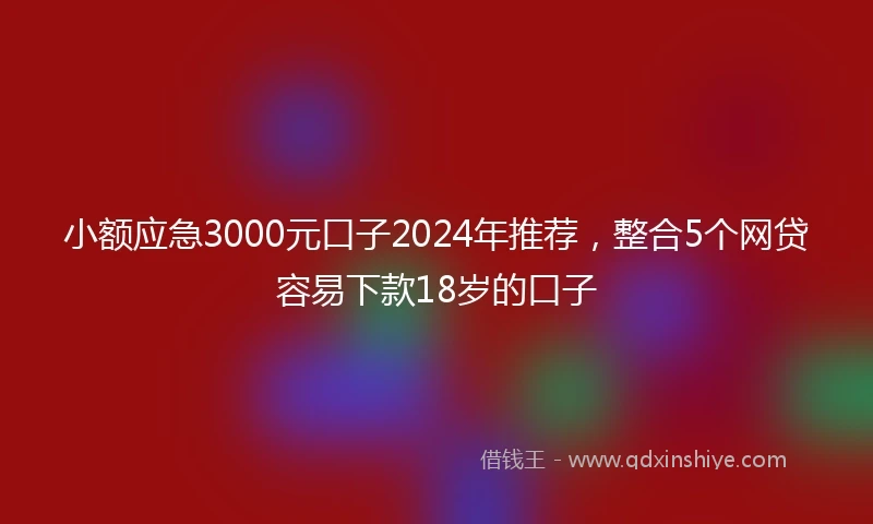 小额应急3000元口子2024年推荐，整合5个网贷容易下款18岁的口子