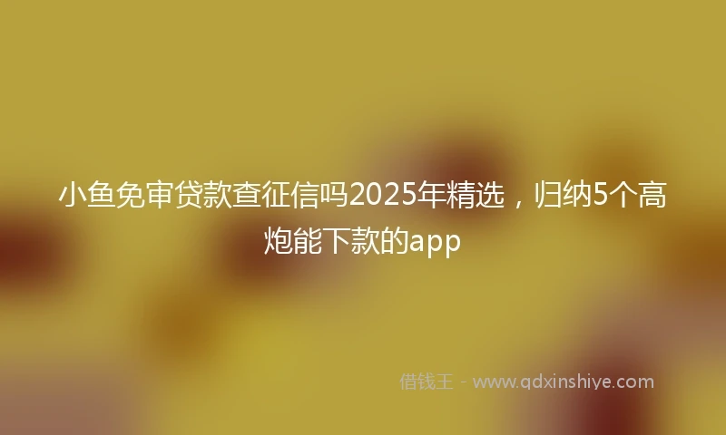小鱼免审贷款查征信吗2025年精选,归纳5个高炮能下款的app