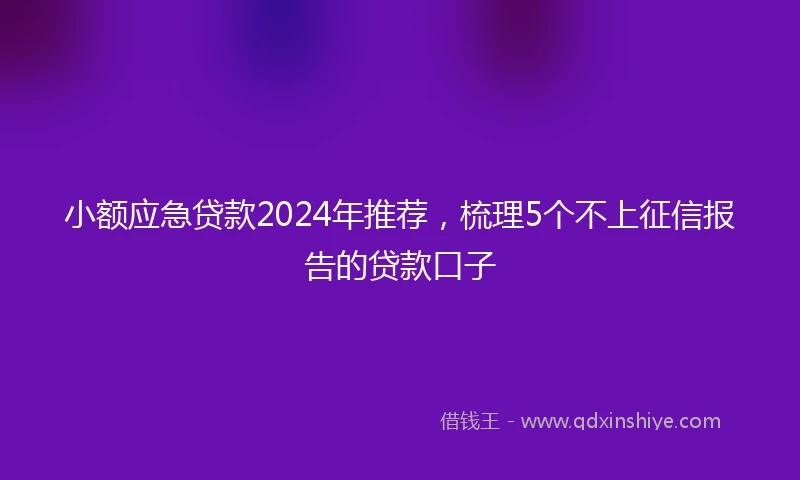 小额应急贷款2024年推荐，梳理5个不上征信报告的贷款口子