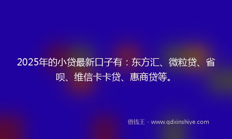 2025年的小贷最新口子有：东方汇、微粒贷、省呗、维信卡卡贷、惠商贷等。