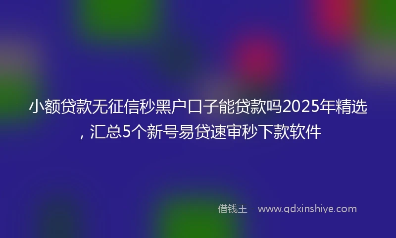 小额贷款无征信秒黑户口子能贷款吗2025年精选，汇总5个新号易贷速审秒下款软件