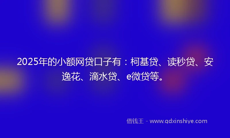 2025年的小额网贷口子有：柯基贷、读秒贷、安逸花、滴水贷、e微贷等。