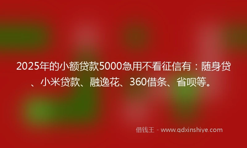 2025年的小额贷款5000急用不看征信有：随身贷、小米贷款、融逸花、360借条、省呗等。