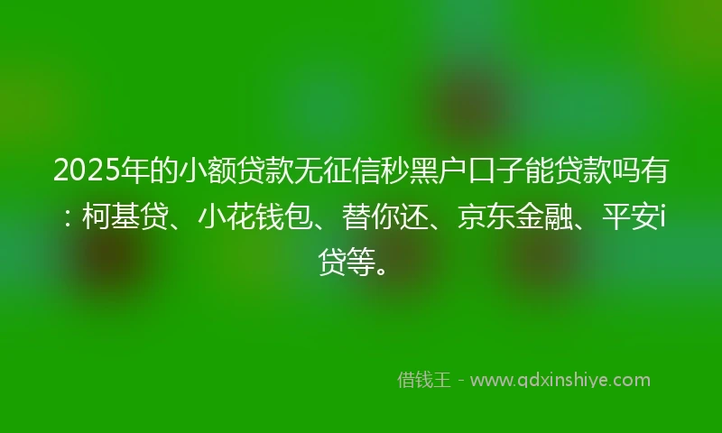 2025年的小额贷款无征信秒黑户口子能贷款吗有：柯基贷、小花钱包、替你还、京东金融、平安i贷等。