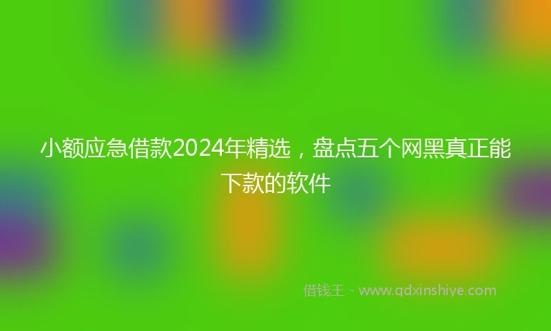 小额应急借款2024年精选，盘点五个网黑真正能下款的软件