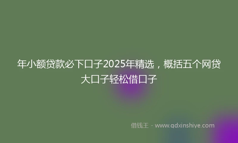 年小额贷款必下口子2025年精选，概括五个网贷大口子轻松借口子