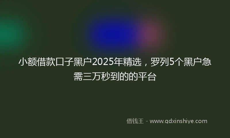 小额借款口子黑户2025年精选，罗列5个黑户急需三万秒到的的平台