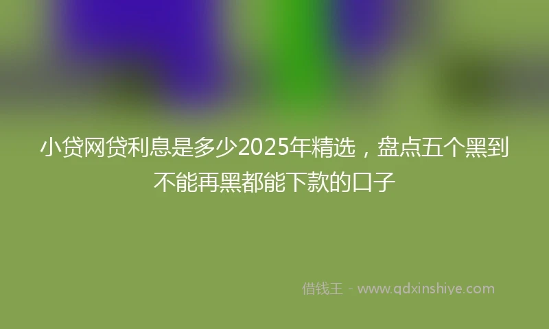 小贷网贷利息是多少2025年精选，盘点五个黑到不能再黑都能下款的口子