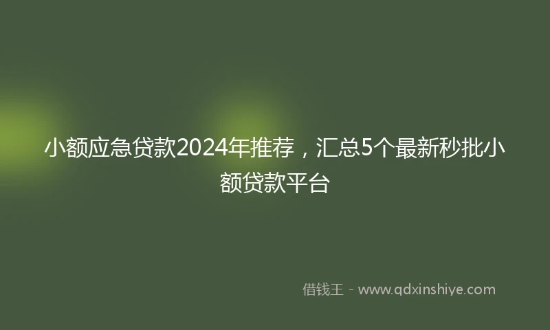 小额应急贷款2024年推荐，汇总5个最新秒批小额贷款平台