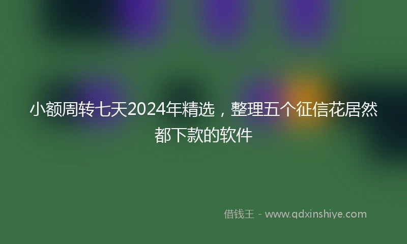小额周转七天2024年精选，整理五个征信花居然都下款的软件