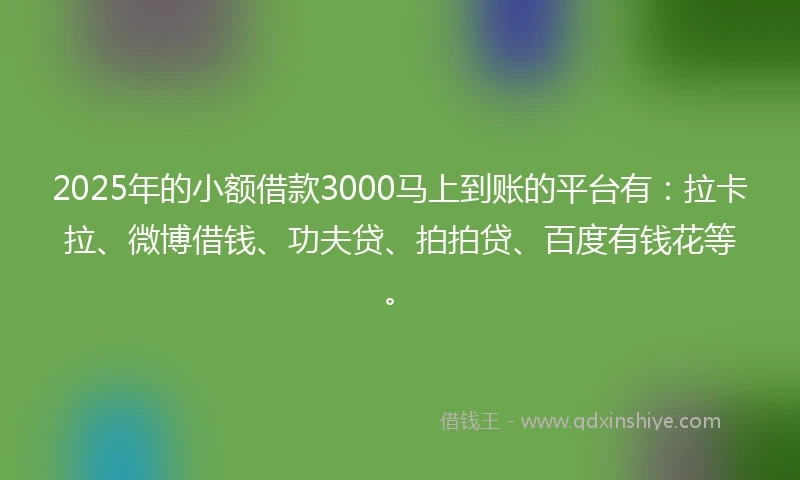 2025年的小额借款3000马上到账的平台有：拉卡拉、微博借钱、功夫贷、拍拍贷、百度有钱花等。
