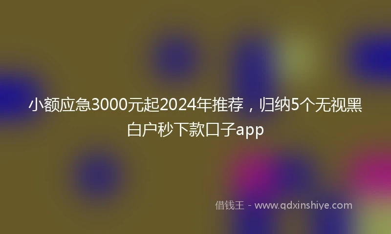 小额应急3000元起2024年推荐,归纳5个无视黑白户秒下款口子app