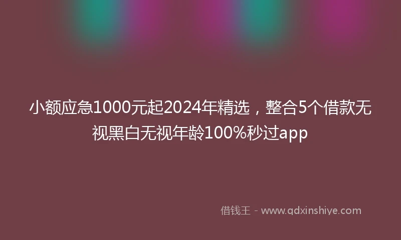 小额应急1000元起2024年精选，整合5个借款无视黑白无视年龄100%秒过app