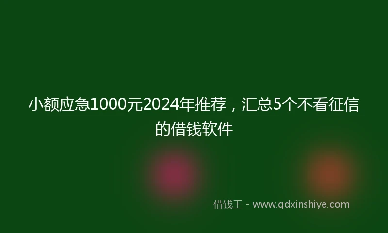 小额应急1000元2024年推荐，汇总5个不看征信的借钱软件