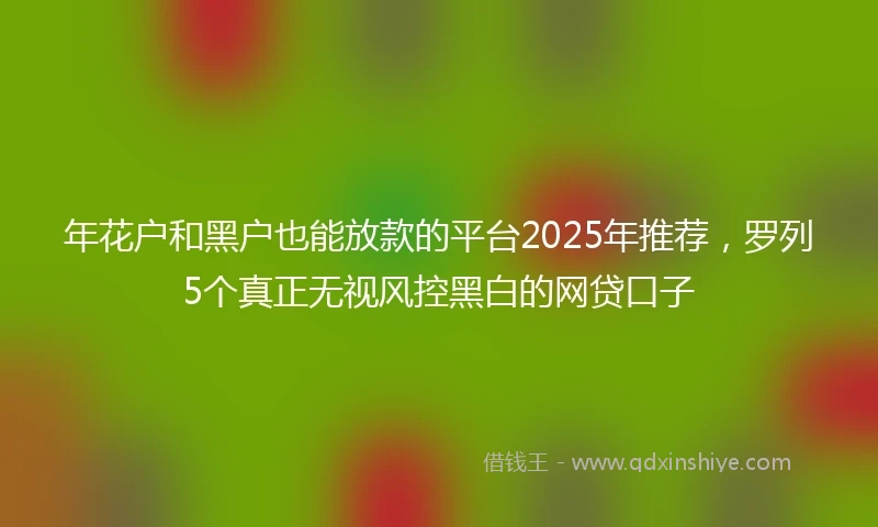 年花户和黑户也能放款的平台2025年推荐，罗列5个真正无视风控黑白的网贷口子