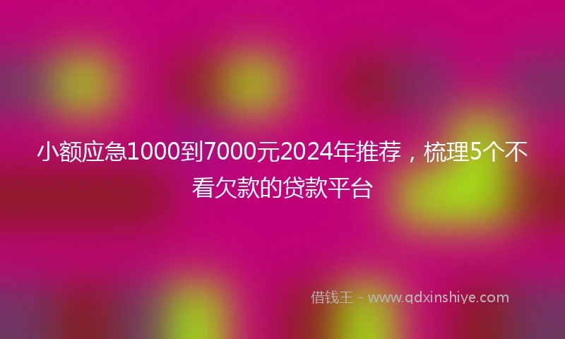小额应急1000到7000元2024年推荐，梳理5个不看欠款的贷款平台
