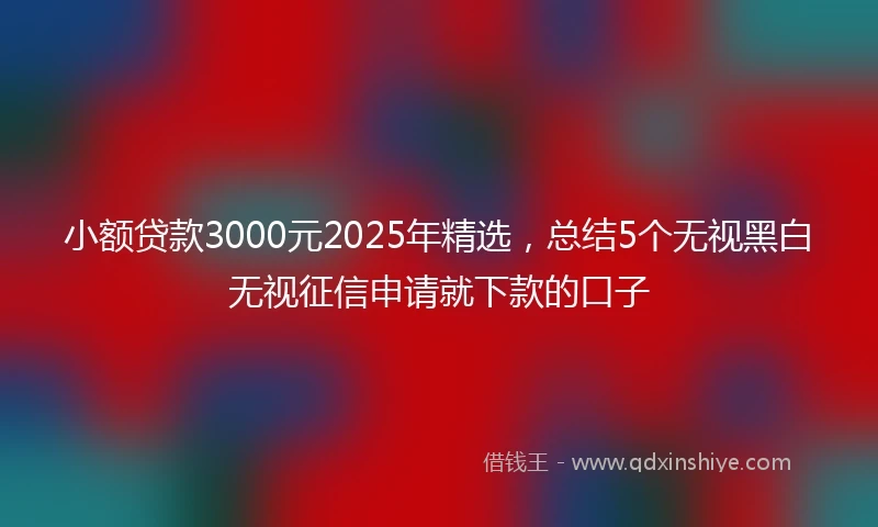 小额贷款3000元2025年精选，总结5个无视黑白无视征信申请就下款的口子