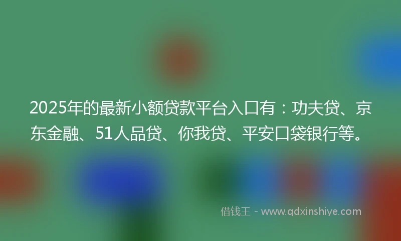 2025年的最新小额贷款平台入口有：功夫贷、京东金融、51人品贷、你我贷、平安口袋银行等。