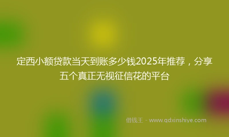 定西小额贷款当天到账多少钱2025年推荐，分享五个真正无视征信花的平台