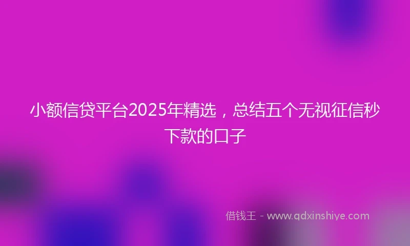 小额信贷平台2025年精选，总结五个无视征信秒下款的口子