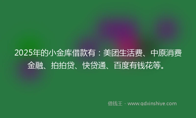 2025年的小金库借款有：美团生活费、中原消费金融、拍拍贷、快贷通、百度有钱花等。