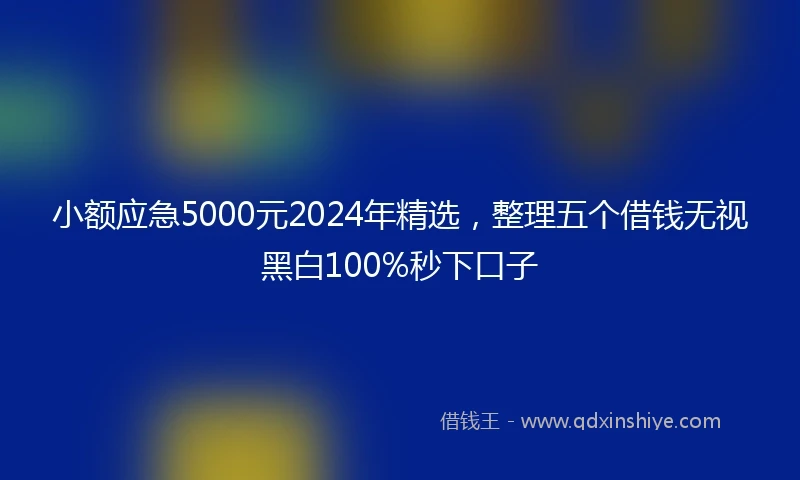 小额应急5000元2024年精选，整理五个借钱无视黑白100%秒下口子
