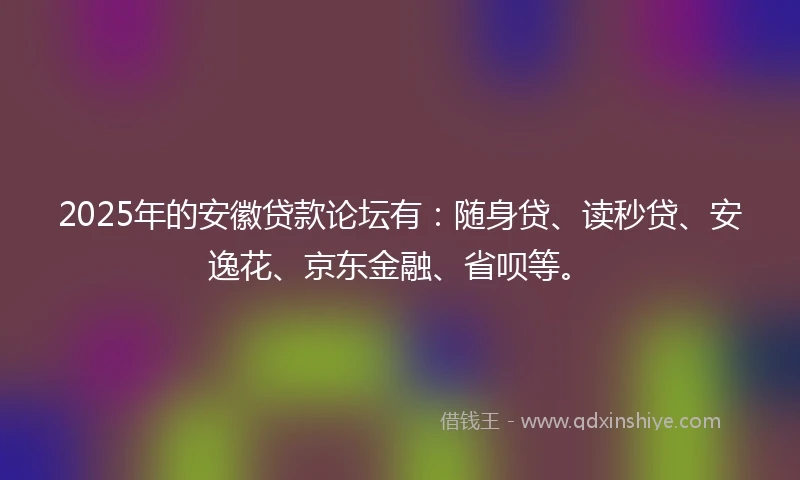 2025年的安徽贷款论坛有：随身贷、读秒贷、安逸花、京东金融、省呗等。