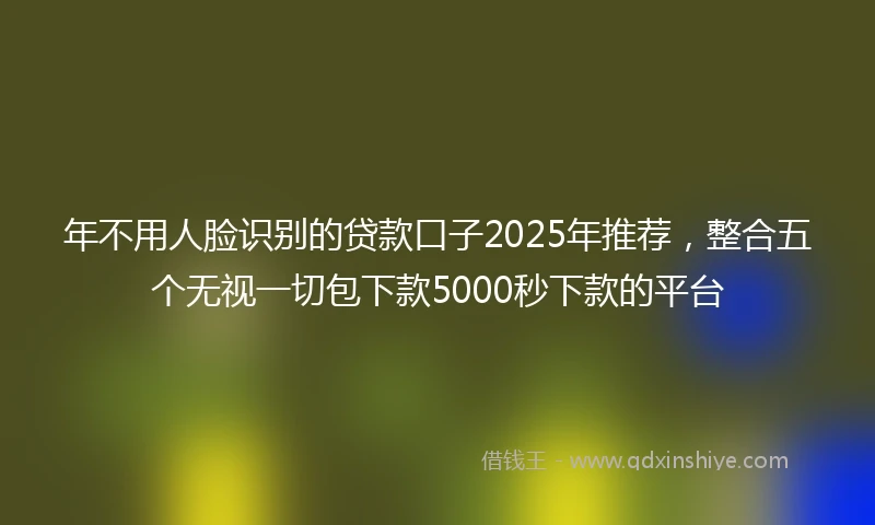 年不用人脸识别的贷款口子2025年推荐，整合五个无视一切包下款5000秒下款的平台