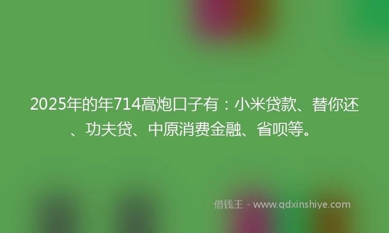 2025年的年714高炮口子有：小米贷款、替你还、功夫贷、中原消费金融、省呗等。